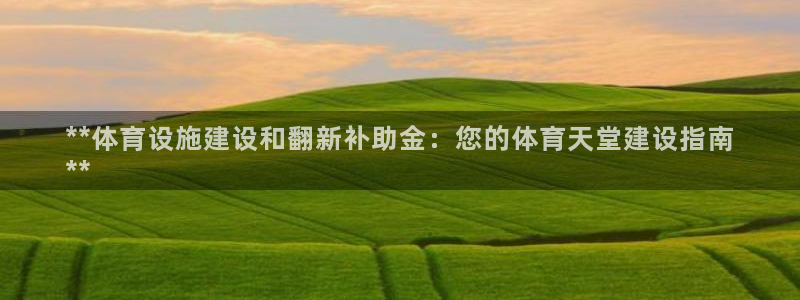 海南意昂体育3：**体育设施建设和翻新补助金：您的体育天堂建