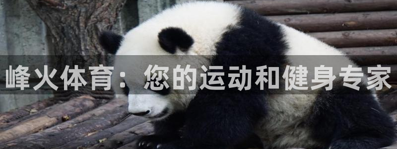 意昂3集团官网首页：峰火体育：您的运动和健身专家 