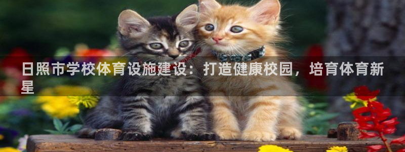 意昂体育3平台：日照市学校体育设施建设：打造健康校园，培育体