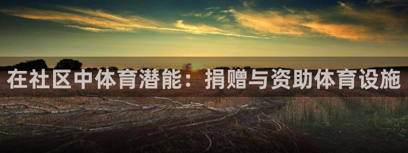 注册意昂3：在社区中体育潜能：捐赠与资助体育设施