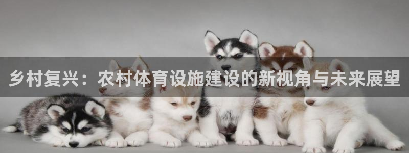 意昂3娱乐首页网站大全