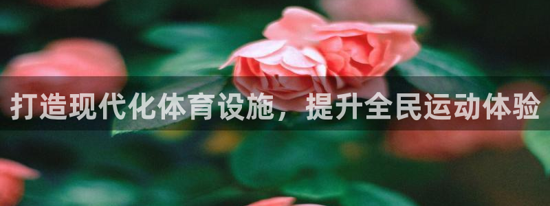 意昂体育3软件
