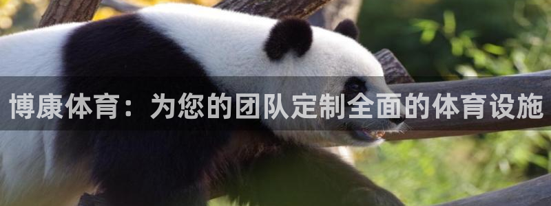 意昂3娱乐代理怎么样