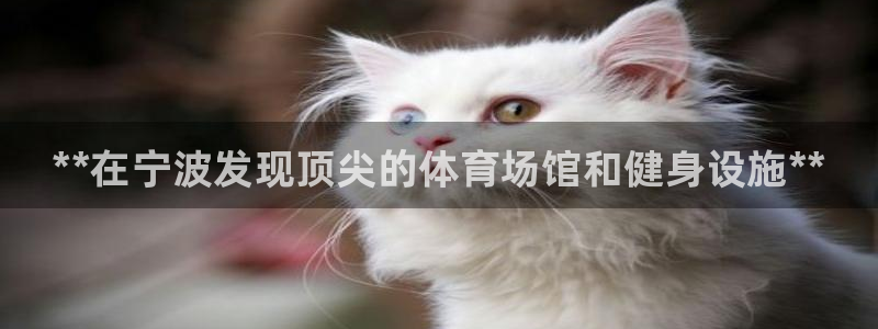 意昂体育3招商电话号码是多少号：**在宁波发现顶尖的