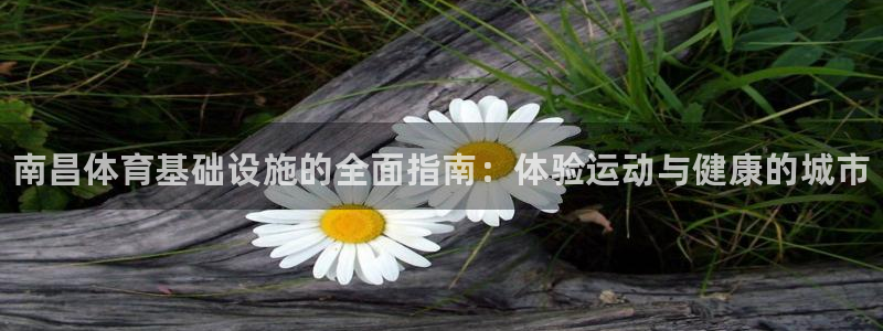 意昂体育3平台注册：南昌体育基础设施的全面指南：体验