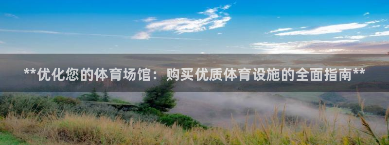 意昂3集团E.ON：**优化您的体育场馆：购买优质体育设施的