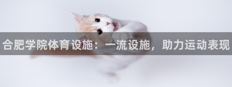 意昂3娱乐首页官网下载：合肥学院体育设施：一流设施，助力运动
