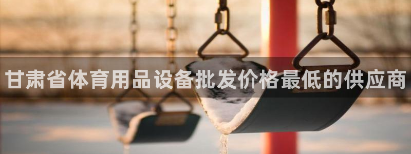 意昂体育3招商电话地址：甘肃省体育用品设备批发价格最低的供应
