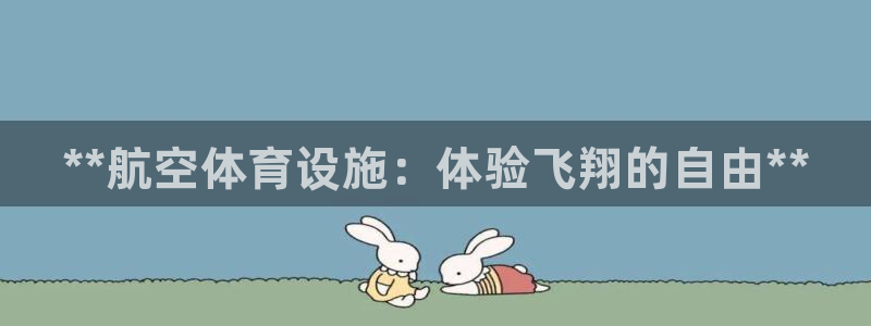 意昂体育3是干嘛的公司：**航空体育设施：体验飞翔的
