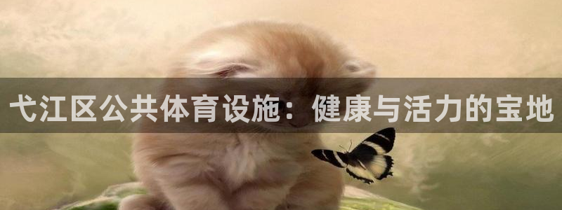 意昂体育3娱乐：弋江区公共体育设施：健康与活力的宝地