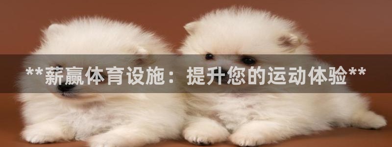 意昂3集团官网网址：**薪赢体育设施：提升您的运动体验**