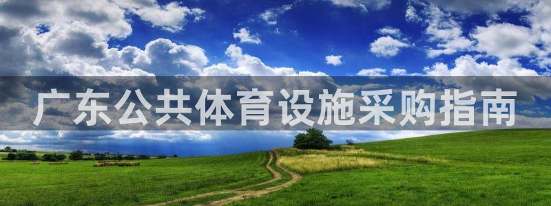 意昂3新能源：广东公共体育设施采购指南