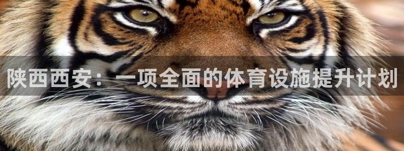 意昂3娱乐首页网站大全：陕西西安：一项全面的体育设施提升计划 