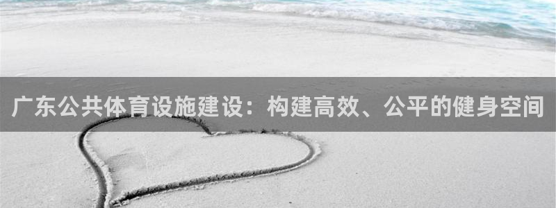 意昂3集团：广东公共体育设施建设：构建高效、公平的健