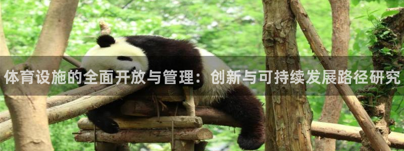 意昂体育3：体育设施的全面开放与管理：创新与可持续发