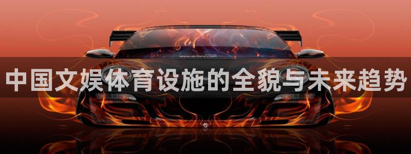 意昂体育3平台注册要钱吗：中国文娱体育设施的全貌与未