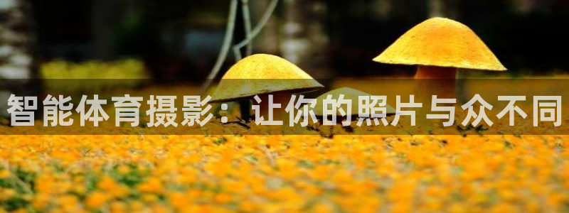 意昂3开户：智能体育摄影：让你的照片与众不同