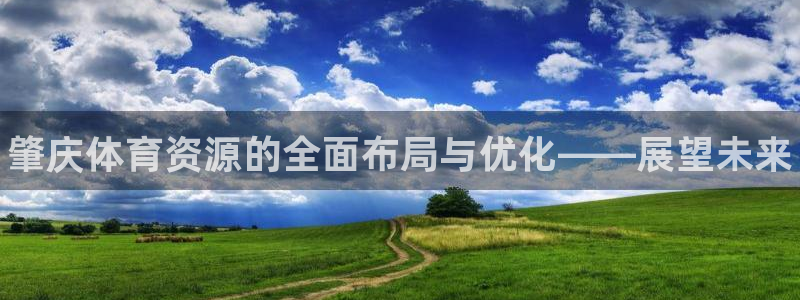 意昂3官方：肇庆体育资源的全面布局与优化——展望未来