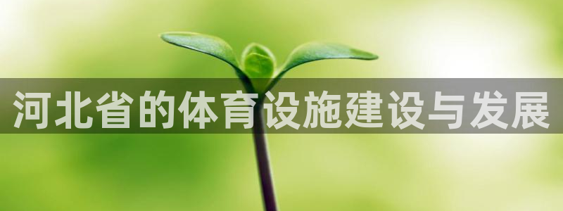 意昂体育3联系电话：河北省的体育设施建设与发展