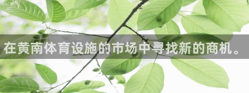 意昂体育3招商电话是多少啊：在黄南体育设施的市场中寻找新的商