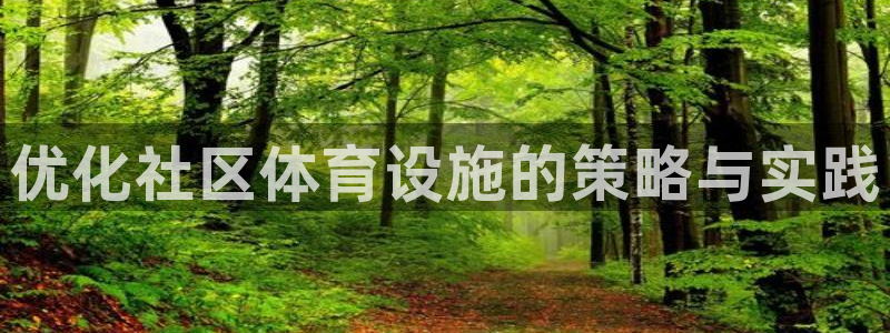 意昂体育3平台注册流程视频：优化社区体育设施的策略与实践