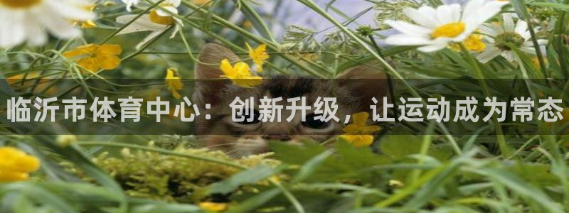 意昂体育3是干嘛的公司：临沂市体育中心：创新升级，让运动成为