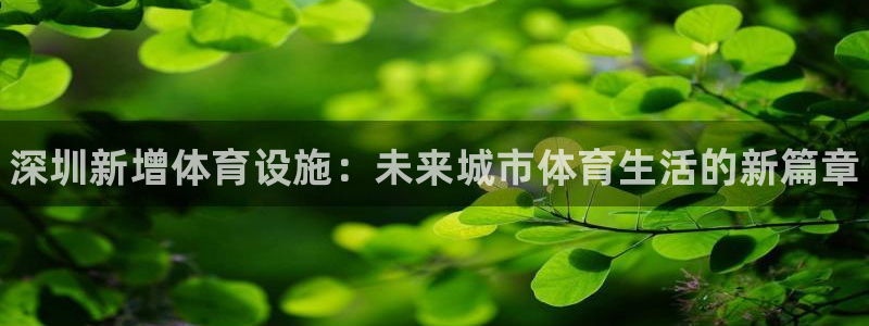 意昂3官方：深圳新增体育设施：未来城市体育生活的新篇章 