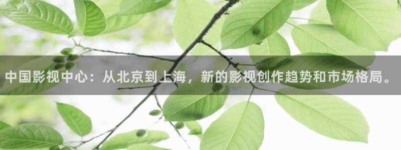 孙悟空动作视频大全