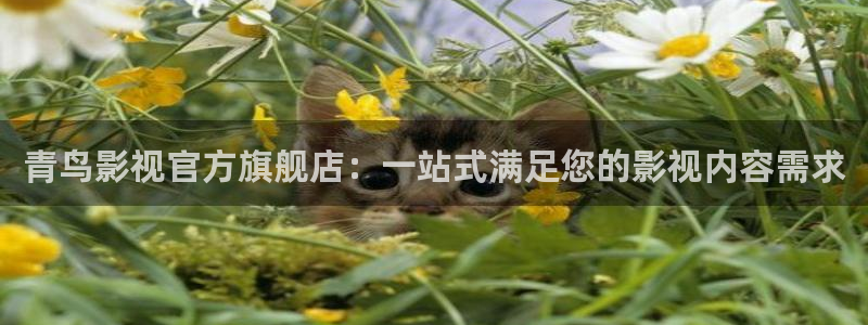 悟空免费短视频