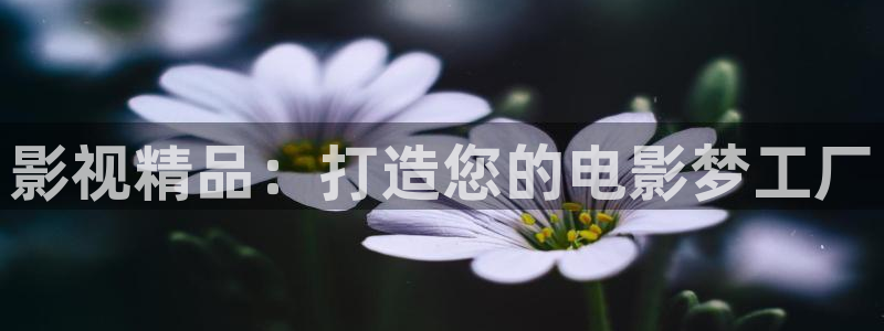 悟空电影天堂