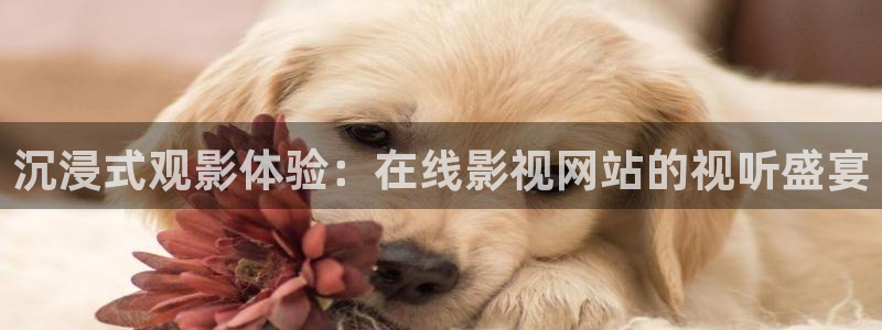 悟空悟空在线观看