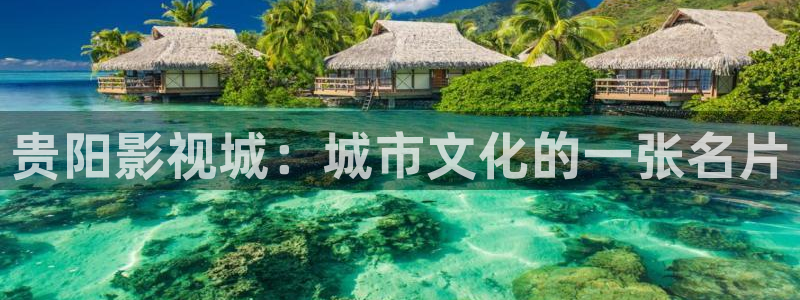 悟空电影视频大全
