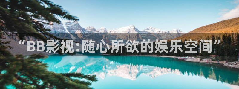悟空老师的视频
